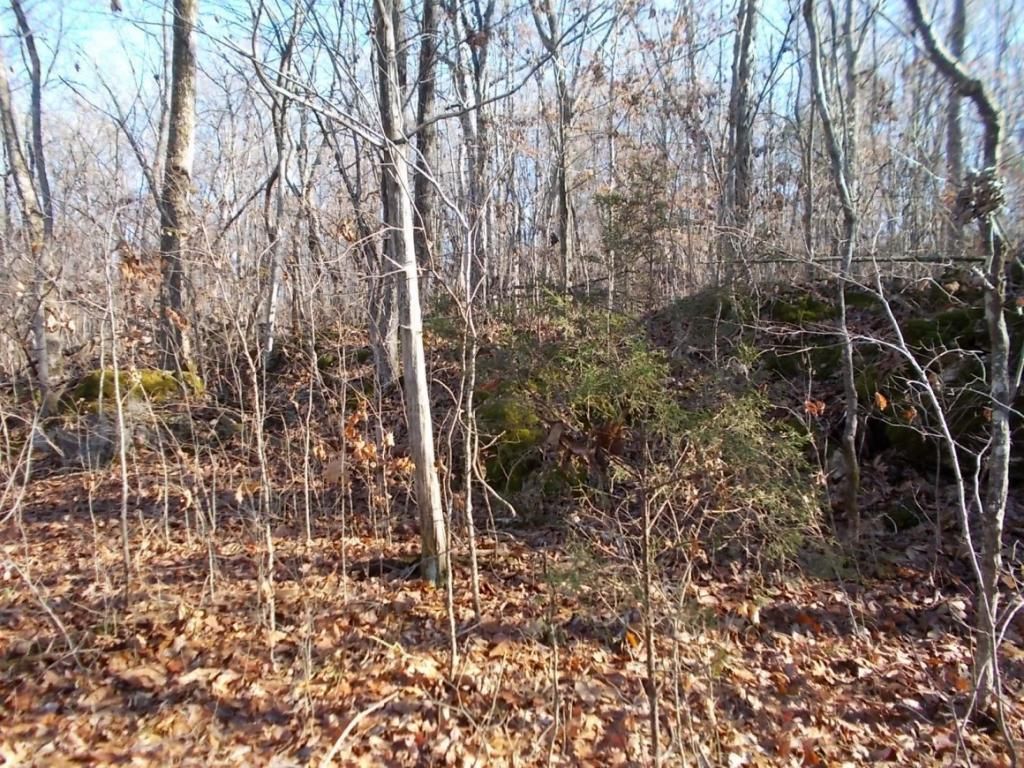 414 Doane Rd, New Market, TN 37820